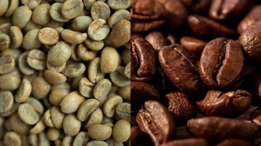 Coffee Starts Green - MOGI