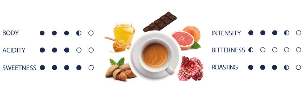 Lady Blue coffee blend organoleptic values.