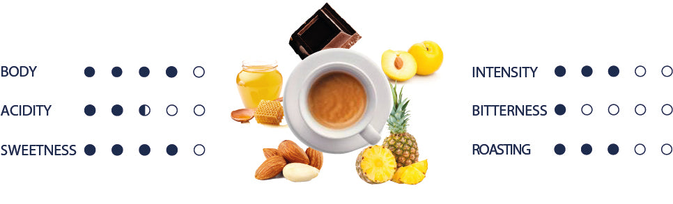 Organolpetic values of Quintessenza coffee in english.