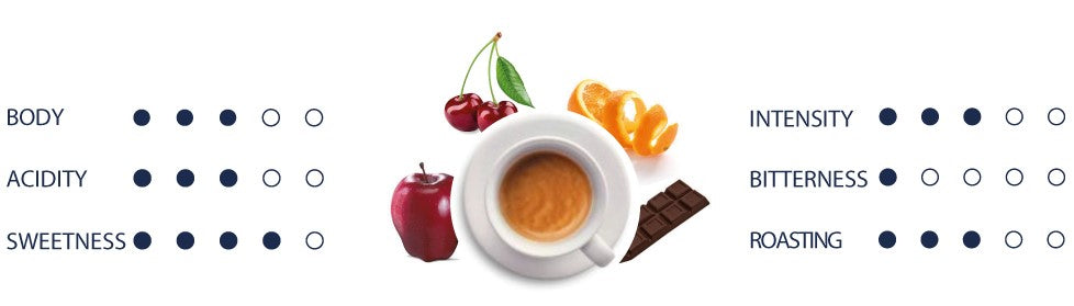 Organoleptic values of Sirius coffee by MOGI in english.