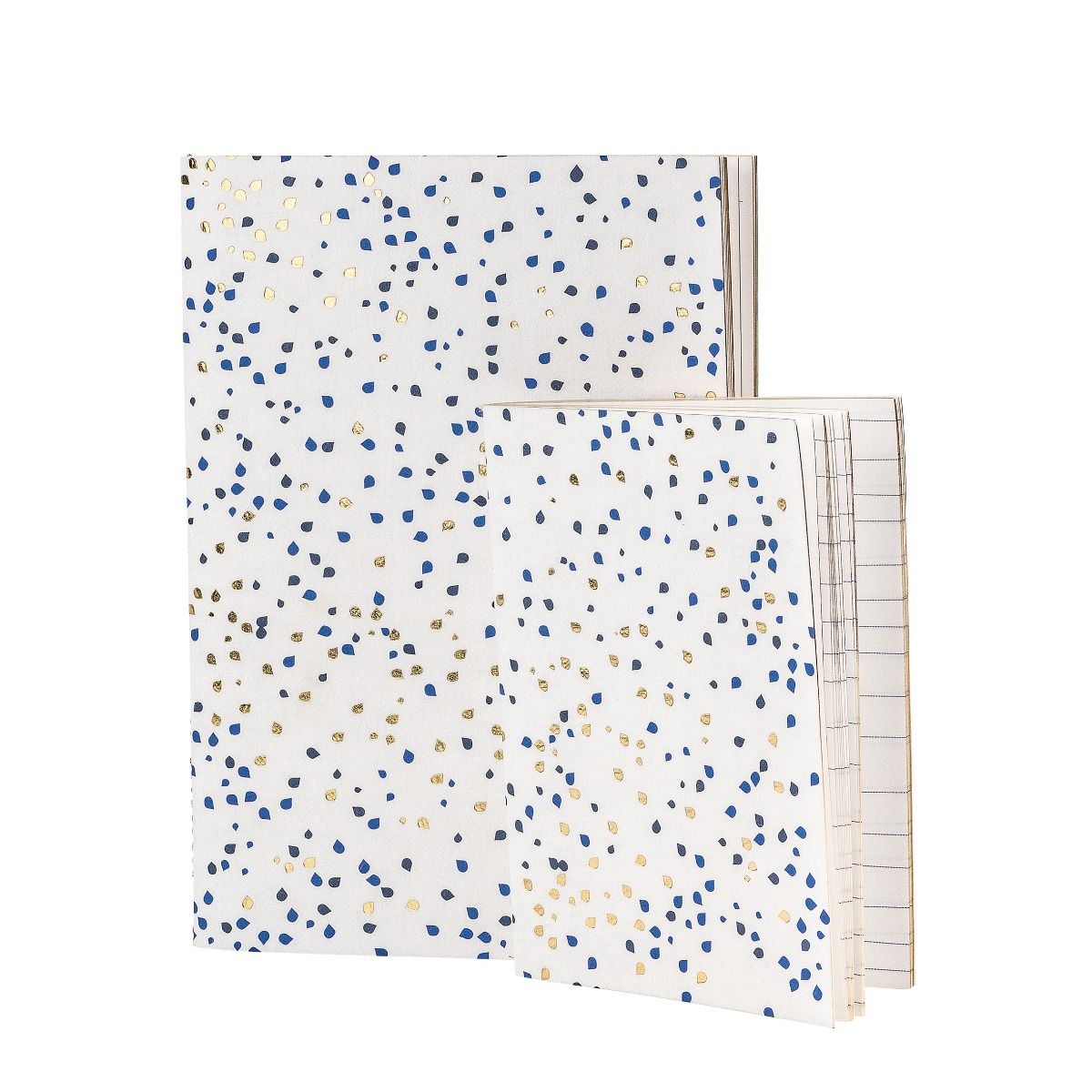 Pair of MOGI notebook with golden and blue dots.